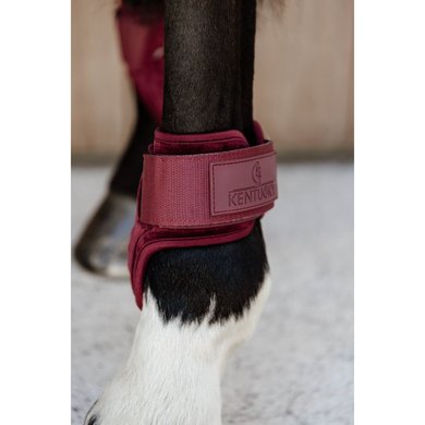Bordeaux Leather Collar and Leash Set with Studs - BULLET