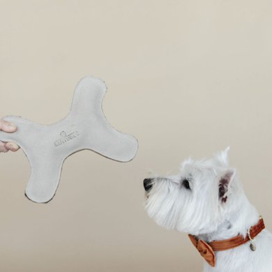 Kentucky Dog Toy Bone Pastel Cream