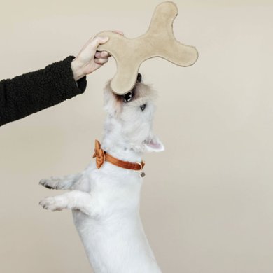 Kentucky Dog Toy Bone Pastel Beige