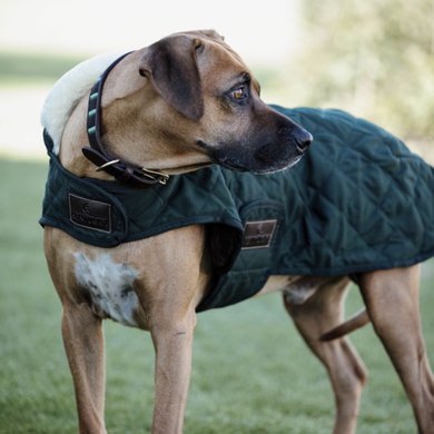 Kentucky Dog Coat Original Donkergroen