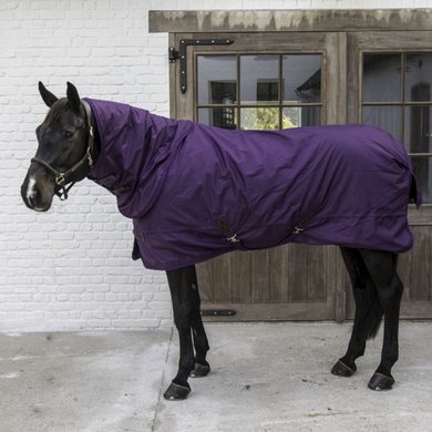 Kentucky Chemise Turnout All Weather 160g Violet