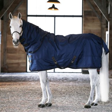 Kentucky Turnout Rug All Weather 300g Marin