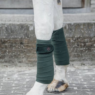 Kentucky Bandages Polar Fleece velours Pearls Pine Green Full