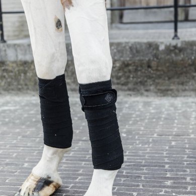 Kentucky Bandages Polar Fleece velours Pearls Noir Full