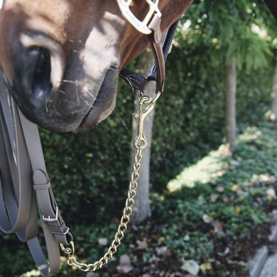 Kentucky Stallion Chain 60cm