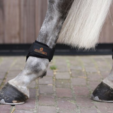 Kentucky Horsewear Protège-Boulets Young Horse Noir
