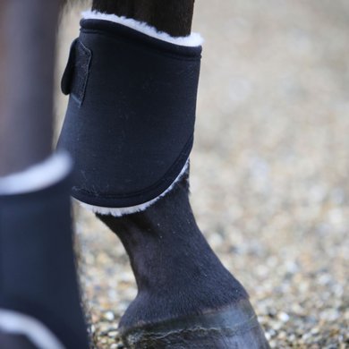 Kentucky Horsewear Fetlock Boots Solimbra Black Full