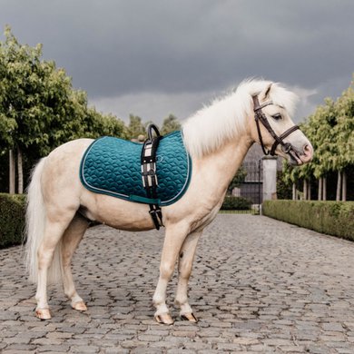Kentucky Saddlepad Velvet Emerald Pony