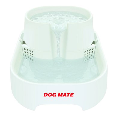 Dogmate Fontaine à Eau 6L