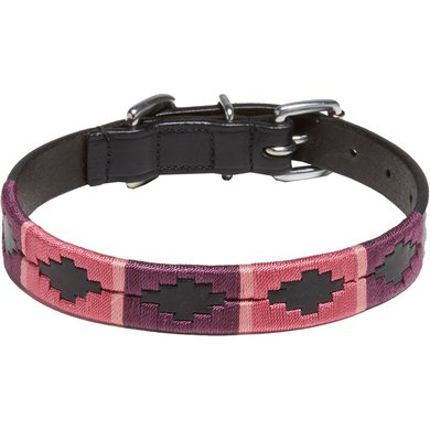 Kieffer Dog Collar Buenos Aires Black/Burgundy/Pink