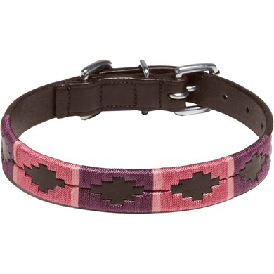 Kieffer Dog Collar Buenos Aires Brown/Burgundy/Pink