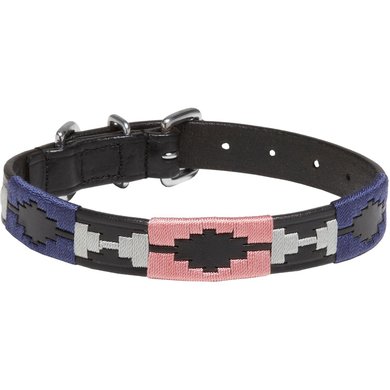 Kieffer Dog Collar Buenos Aires Black/Blue/Pink
