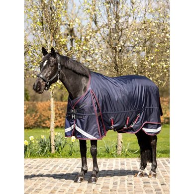 LeMieux Outdoor Rug Kudos Thermo Pro 100gr Blue