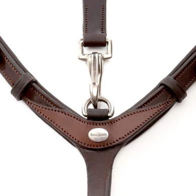 Auxiliary HORSEBIT BUCKLE BELT