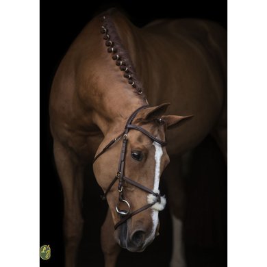 LJ-Leathers Bridle New Mexican Mexican Noseband Rubber Reins Brass Buckles Noisette