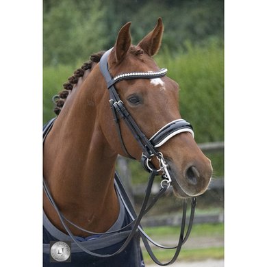 LJ-Leathers Bridle Superior Lacquer Weymouth Black