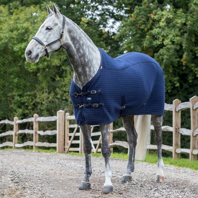 LeMieux Sweat Rug Thermo-Cool Navy 140/183