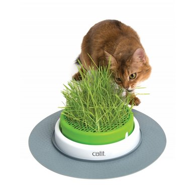Cat It Senses 2. Grass Planter