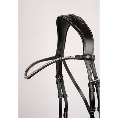 Montar Browband Clear Crystal Black