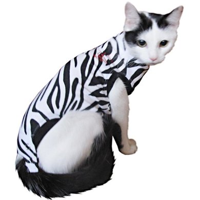 Medical Pet Shirt Chemise Chat Zebra