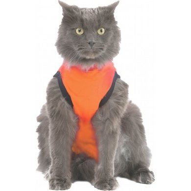 Medical Pet Shirt Chemise Chat Orange