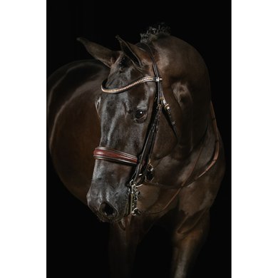 Mrs. Ros Double Bridle Knight Power Deluxe Brown Full