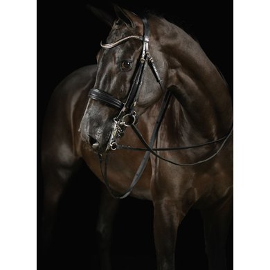 Mrs. Ros Double Bridle Knight Power Deluxe Black Full