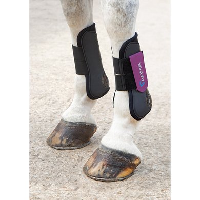 Arma by Shires Tendon Boots Black/Plum