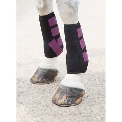 Arma by Shires Leg protection Breathable Plum