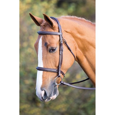 Pony-Cob-Full-X/Full Shires Salisbury Bodenham Bridle Black or Aus Nut 