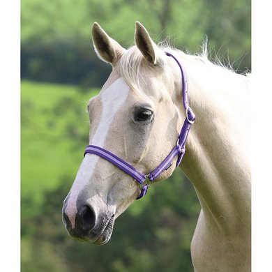 Wessex by Shires Licol Purple/Lila