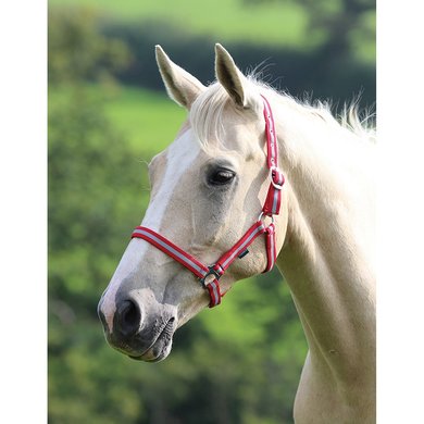 Wessex by Shires Licol Rouge/Argent
