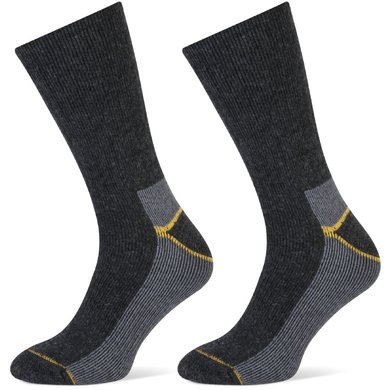 Stapp Yellow Chaussettes Thermo 2-Pack Gris
