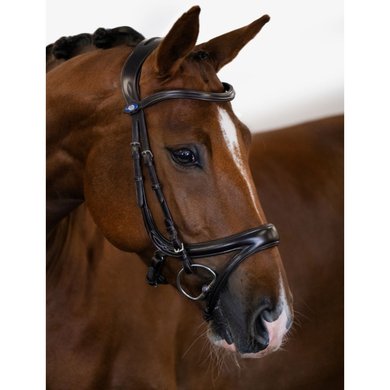PS of Sweden Bridle Jump Off Brown
