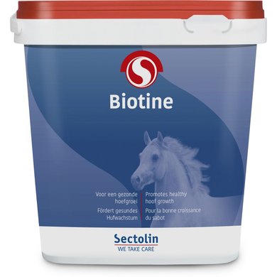 Sectolin Biotine Equivital