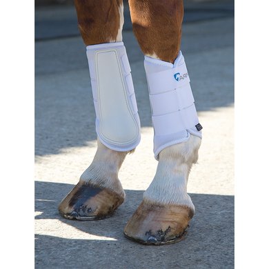 Arma by Shires Beenbeschermers Neopreen White