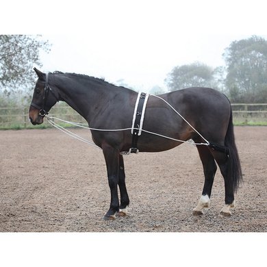 bargain New Horse Lunging Training Aids Black Pessoa Based one size fits all ! 