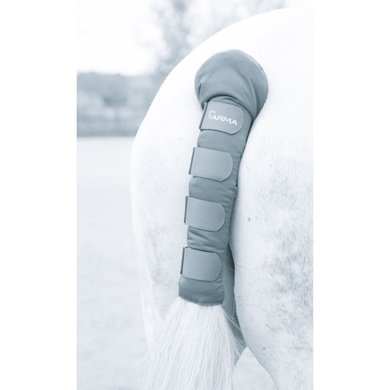 Arma by Shires Tail Protector Padded Grey