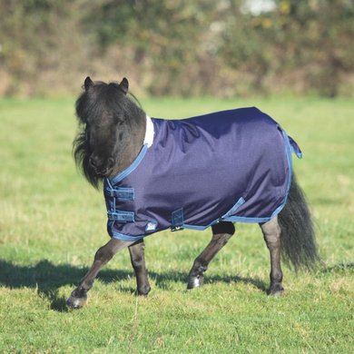 Tempest Original Turnout Rug for Miniature 200g Navy/Turquoise