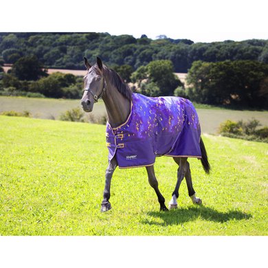 Tempest Winter Rug Turnout 100 Amethyst