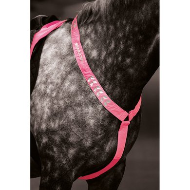 Equi-Flector Front Strap Reflective Fluor Pink Pony/Cob