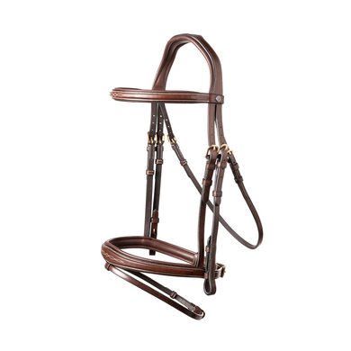 Trust Bridle Amsterdam brown/gold