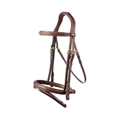 Trust Bridle Calgary brown/gold