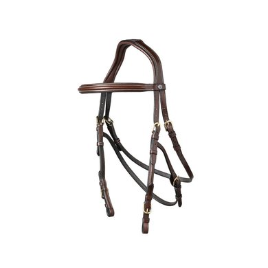 Trust Bridle Hickstead brown/gold