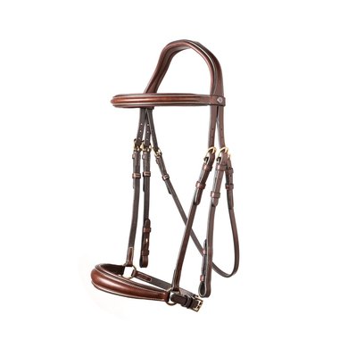 Trust Bridle Rome brown/gold