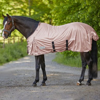 Waldhausen Fly Rug Protect with Surcingles Lightpink