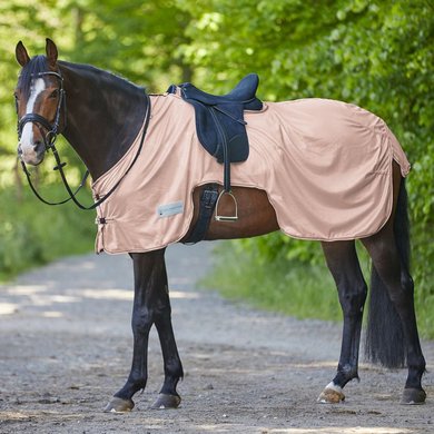 Waldhausen Couvre-reins Anti-Mouches Protect Rose clair