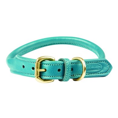 Weatherbeeta Collier pour Chien Rolled Leather Teal
