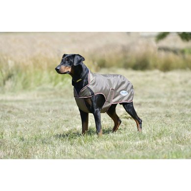 Weatherbeeta Couverture pour Chien Comfitec Windbreaker Free Deluxe Olive Green/Burgundy/White