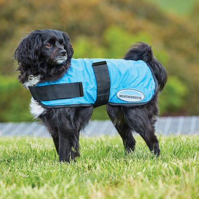 Weatherbeeta Cooling Blanket Therapy-Tec for Dogs Blue